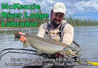 The McKenzie River Lodge