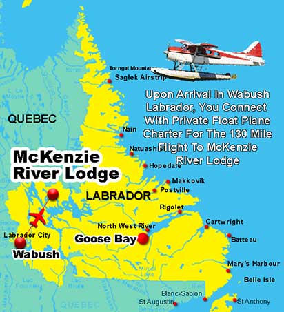 Float Plane Charter Flights to McKenzie River Lodge