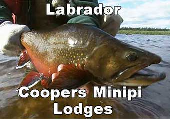 Cooper's Minipi Lodges