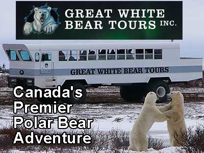 Great White Bear Tours in Churchill, Manitoba