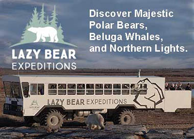 Lazy Bear Expeditions in Churchill, Manitoba