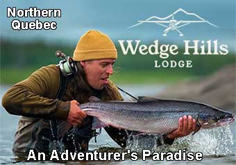 Wedge Hills Lodge